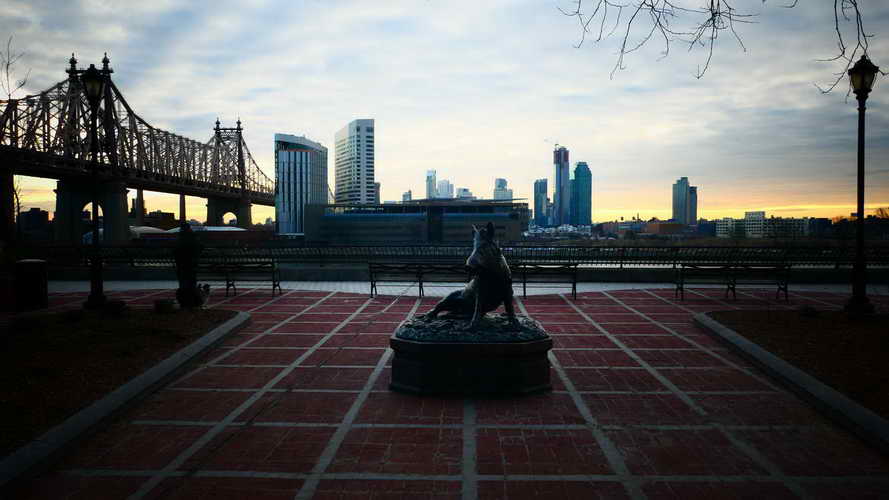 NYC_2020-01-27 07-51-55_P1070757